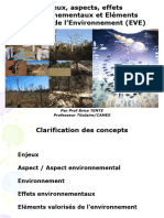 Enjeux, Aspects, Effets Environnementaux Et Éléments Valorisés de L'environnement Nouveau