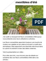 Fleurs Comestibles D'été - Plantes Sauvages Comestibles