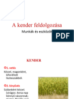 A Kender Termelése És Feldolgozása