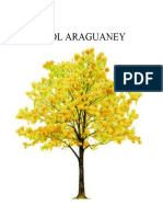 Árbol Araguaney