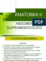 Abdomen SupramesocÓlico 6