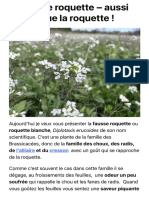 La Fausse Roquette - Aussi Bonne Que La Roquette ! - Plantes Sauvages Comestibles