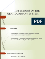 VIRAL-INFECTIONS-OF-THE-GENITOURINARY-SYSTEM-sayen