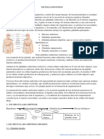 Sistema Endocrino