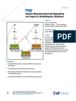 PIN-LIKES Coordinate Brassinosteroid Signaling With Nuclear Auxin Input in Arabidopsis Thaliana