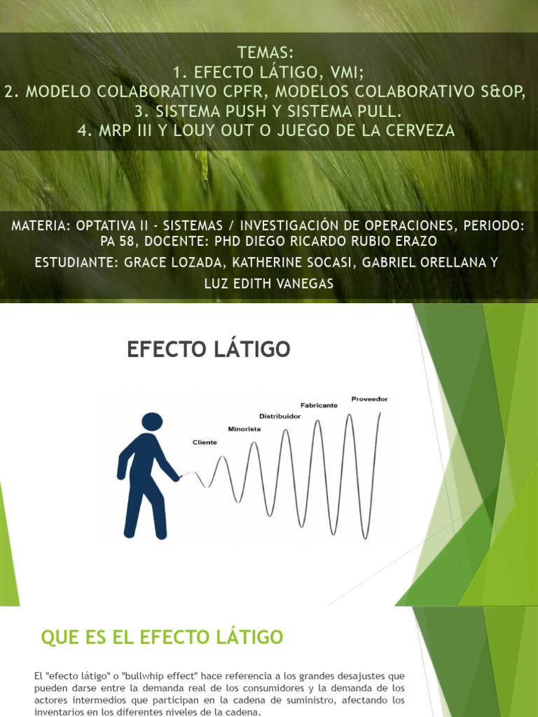 Optativa Ii | PDF | Planificación de recursos empresariales | Lean ...
