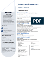 Curriculum Roberto Perez Osuna