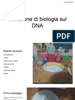 Relazione Di Biologia Sirigu Francesco 2M