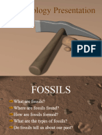 Fossils PowerPoint
