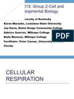 Cellular Respiration Gulf Coast 2013 1