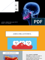 Tumorile Odontogene ALE Maxilarelor: A Elaborat: STOIAN Natalia, Grupa S1905 B Profesor: CUCU Ghenadie