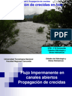 Propagación de Crecidas en Ríos y Embalses HyOH