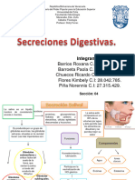 Mapa Conceptual Secreciones Digestivas