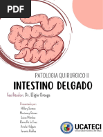 Ángulo de Treitz: Anatomía y Ubicación | PDF