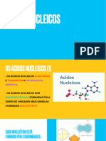 Tema 4 - Acidos Nucleicos IV-PDF 1 2