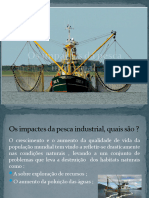 Os Impactes Da Pesca Industrial