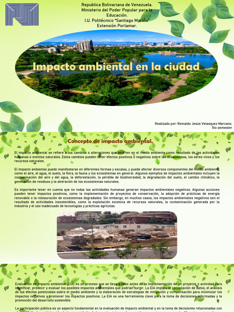 Impacto Ambiental en la Ciudad | PDF | Entorno natural | Contaminación