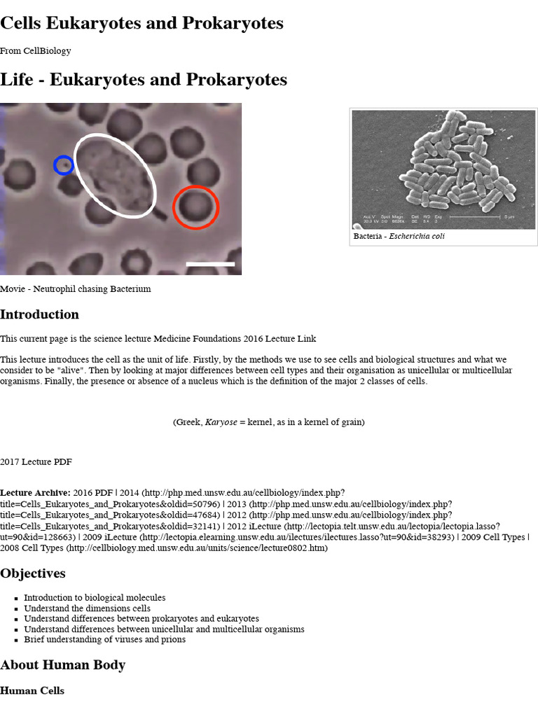 2017 Cells Eukaryotes and Prokaryotes | PDF | Cell (Biology) | Bacteria