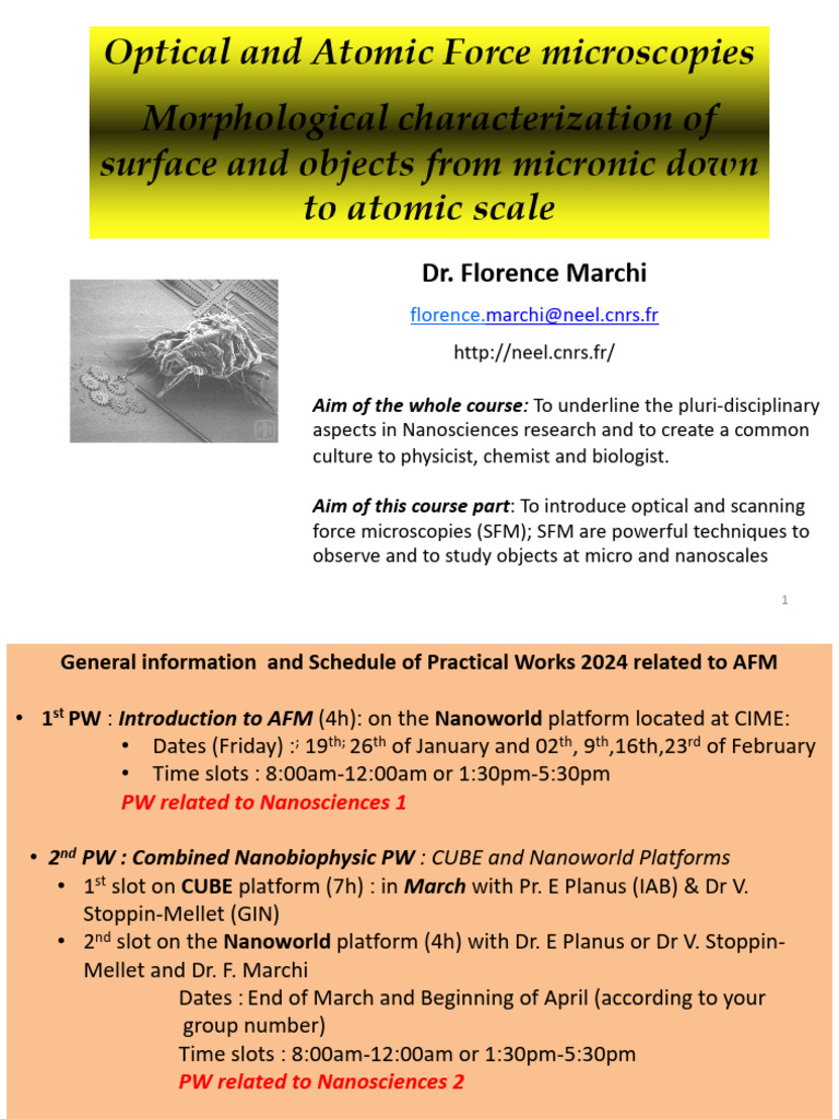 Nano1 SFM Courses2 3 2024 | PDF | Nanotechnology | Atomic Force Microscopy
