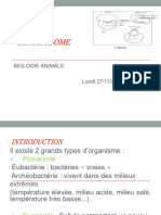 Le Ribosome