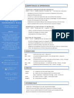 CV Rui Miguel Fernandes Dias PDF