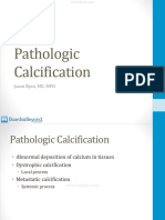 Pathologic Calcification Atf