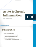 Acute and Chronic Inflammation Atf