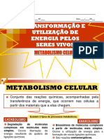 Metabolismo 10º Ano - Biologia e Geologia