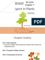 7 Transport in Plants