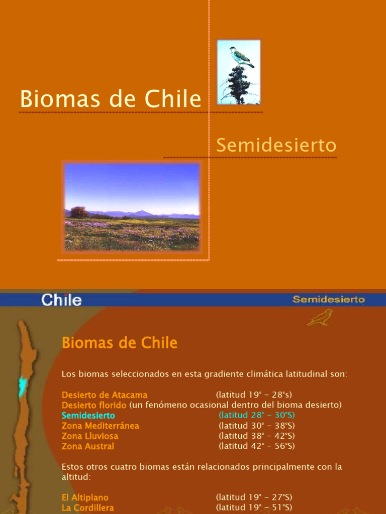 4 Bioma Semidesierto | PDF | Desierto | Ciencias de la Tierra