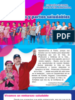 Cartilla Embarazo y Partos Saludables_230731_082709