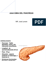 Anatomia y Fisio Log I A Pancreatic A