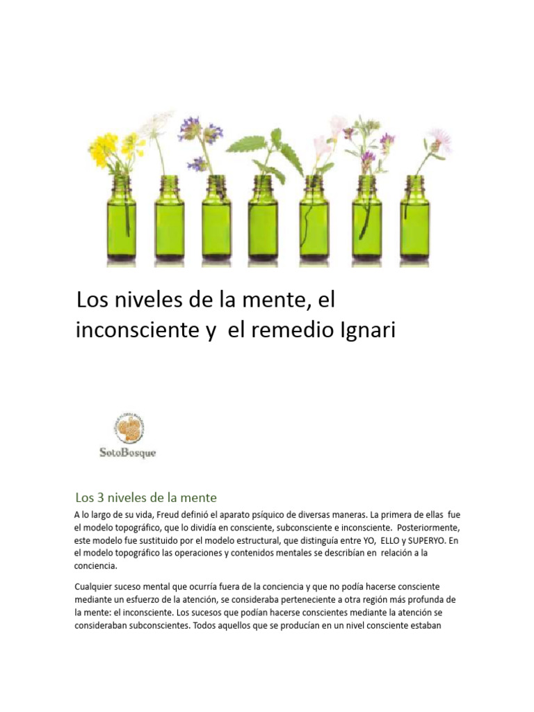 Los Niveles de La Mente | PDF | Mente inconsciente | Carné de identidad