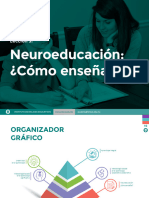 Neuroeducación: ¿Cómo Enseñar?