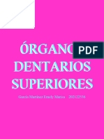 Dientes Superiores e Inferiores