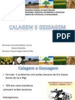 Calagemegessagem 140223205051 Phpapp01