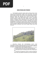 Download EKOFISIOLOGI POHON by sur iaman SN70051563 doc pdf