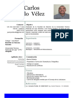CV Nuevo JCPV 2