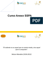 CURSO ANEXO SSPA