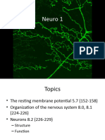 Neuro 1