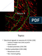 Neuro 4