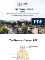 Nervous System Unit - 3