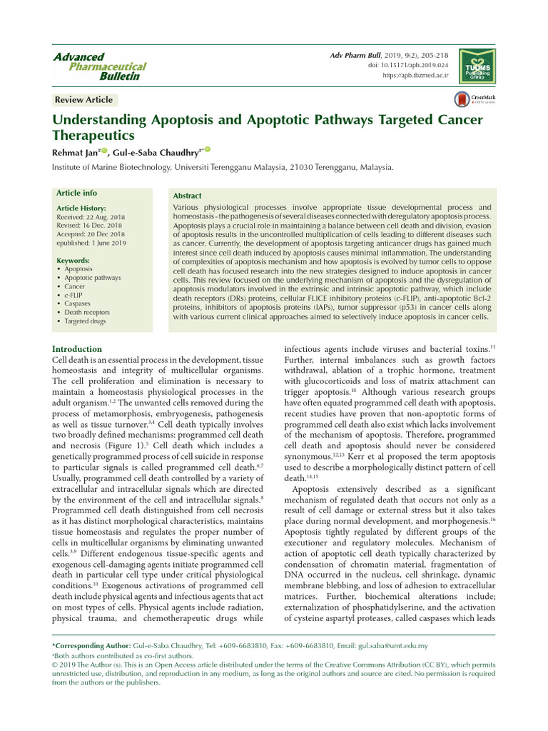 Understanding Apoptosis and Apoptotic Pathways Targeted Cancer | PDF ...