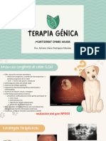 Terapia Génica