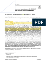 Object Level Classifcation of Vegetable Crops in 3D LiDAR Point Cloud Using Deep - 3