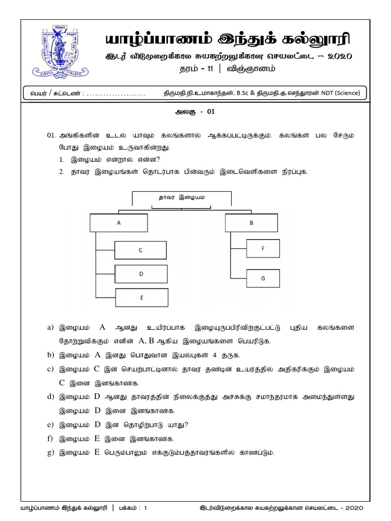 Grade 11 Science Test Papers Tamil Medium | PDF