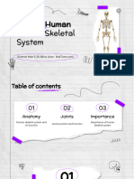 2.1:human Skeletal System