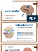 Pares Craneales