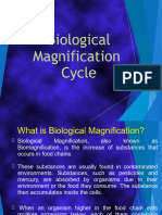 Bilogical Magnification