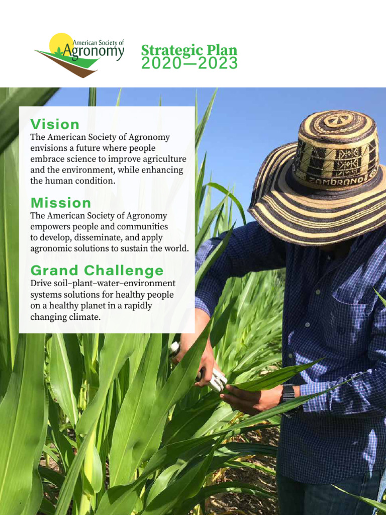 Strategic Plan Asa 2020 2023 Pdf Sustainability Strategic Planning